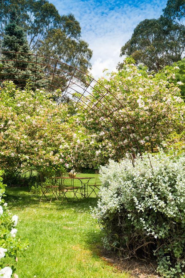 Bed and Breakfast Hollyhock Macedon Exteriér fotografie